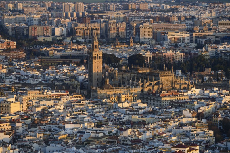 Spain, Andalusia, Seville, High angle view over cathedral and city