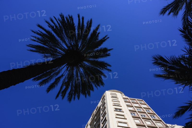 Spain, Valencia, Low angle view of Avinguda del Port