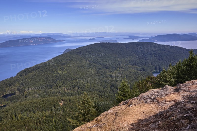 USA, Washington, San Juan County, Orcas Island, Scenic forested landscape