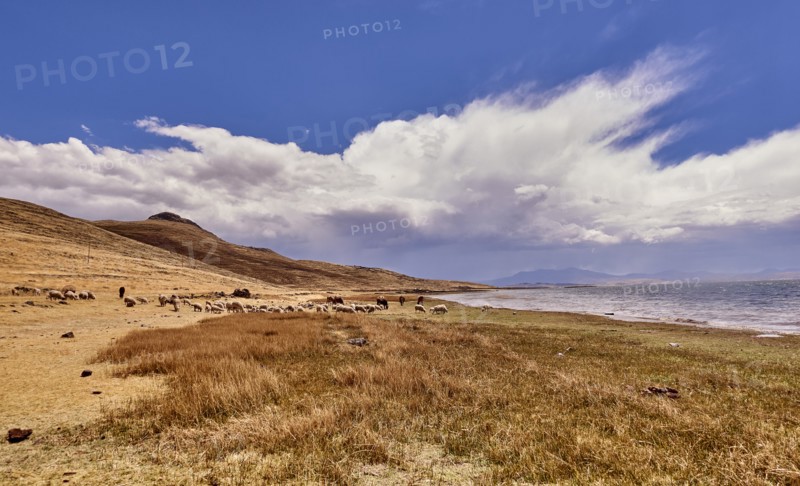 Peru, Sillustani, Scenic view of arid landscape