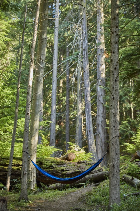 USA, Washington, San Juan County, Orcas Island, Hammock in trees