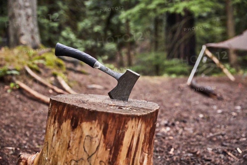 Hatchet in stump