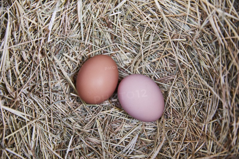Overhead view of two eggs on straws
