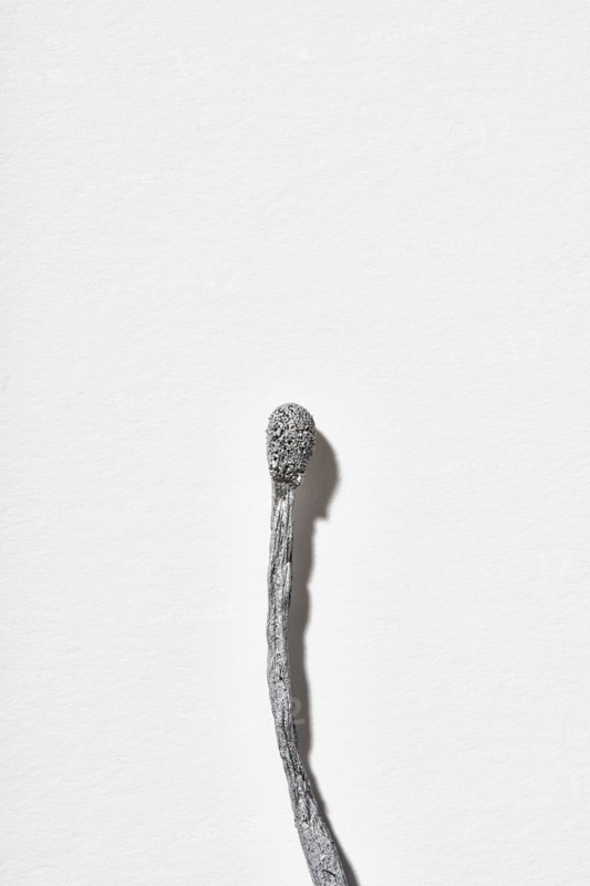 Burnt matchstick on white background