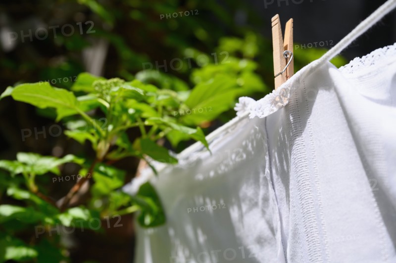 White tablecloth drying on clothesline at green leaves