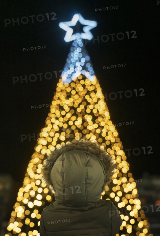 Boy in front of illuminated Christmas tree
