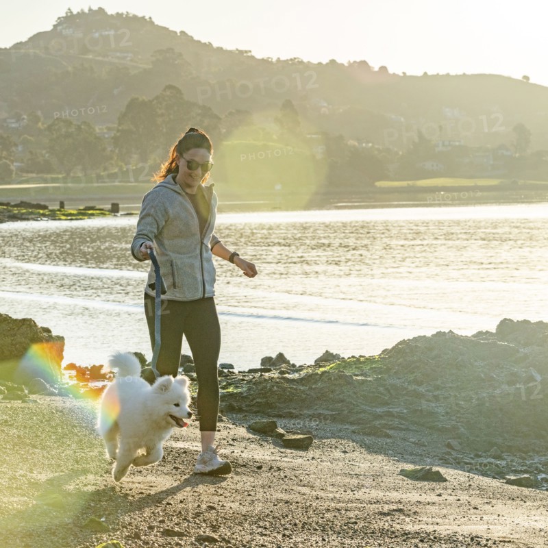 USA, California, San Francisco, Woman with Samoyed puppy running on beach