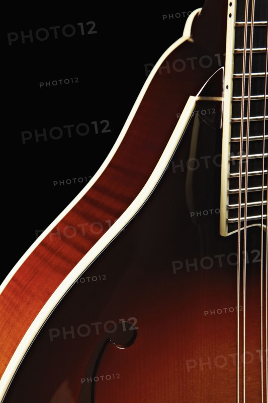 Close-up of mandolin