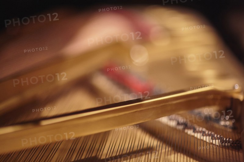 Close-up of piano strings