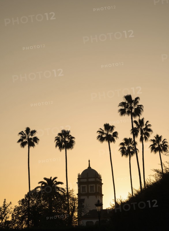 Spain, Seville, Silhouette of palm trees and tower in Maria Luisa Park