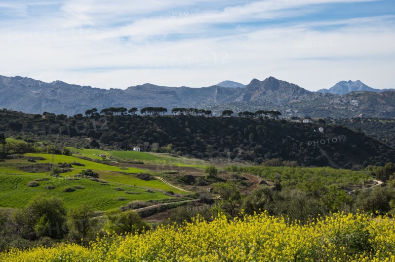 Spain, Ronda, Landscape with Sierra de Grazalema