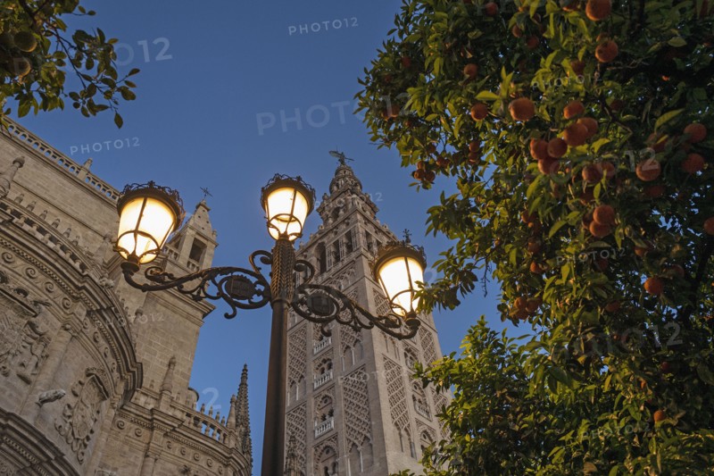 Spain, Seville, Low angle view of Giralda Tower and Seville cathedral at dusk