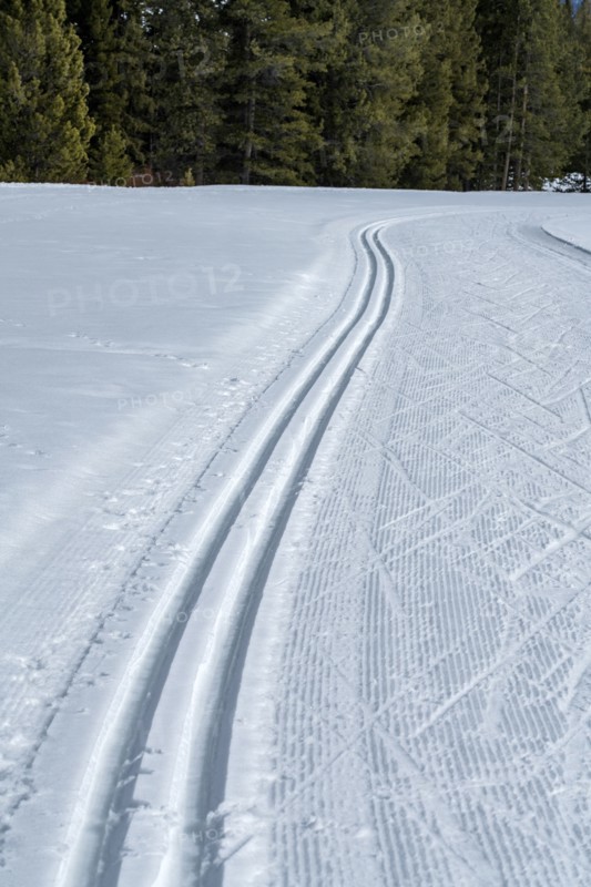 USA, Idaho, Sun Valley, Cross country ski trail near forest