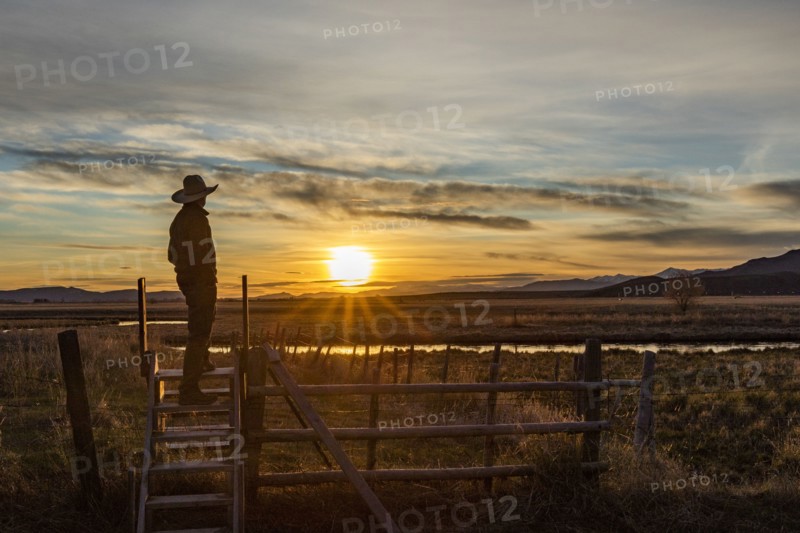 USA, Idaho, Bellevue, Cowboy standing on fence at sunset