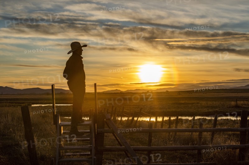 USA, Idaho, Bellevue, Cowboy standing on fence at sunset