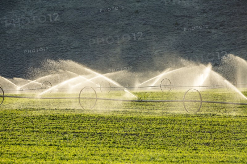 USA, Idaho, Picabo, Irrigation equipment watering new crops