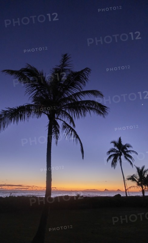 USA, Hawaii, O'ahu, Kailua Beach, Silhouette of palm trees at sunset