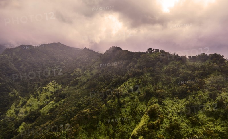 USA, Hawaii, Kauai, Na Pali, Aerial view of mountains covered with forest
