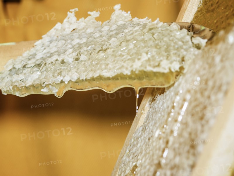 Raw honey on honeycomb