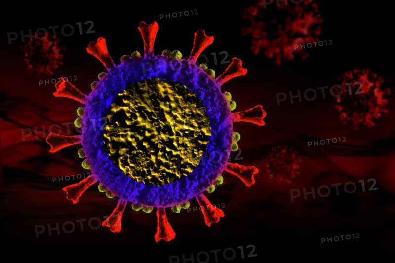 Digitally generated Coronavirus model