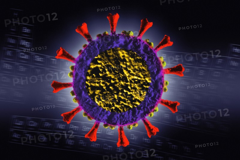 Digitally generated Coronavirus model