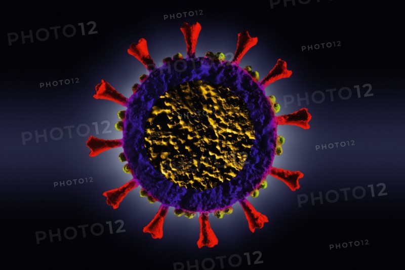 Digitally generated Coronavirus model