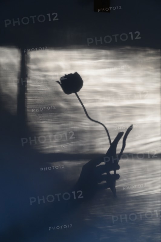 Shadow of woman holding flower