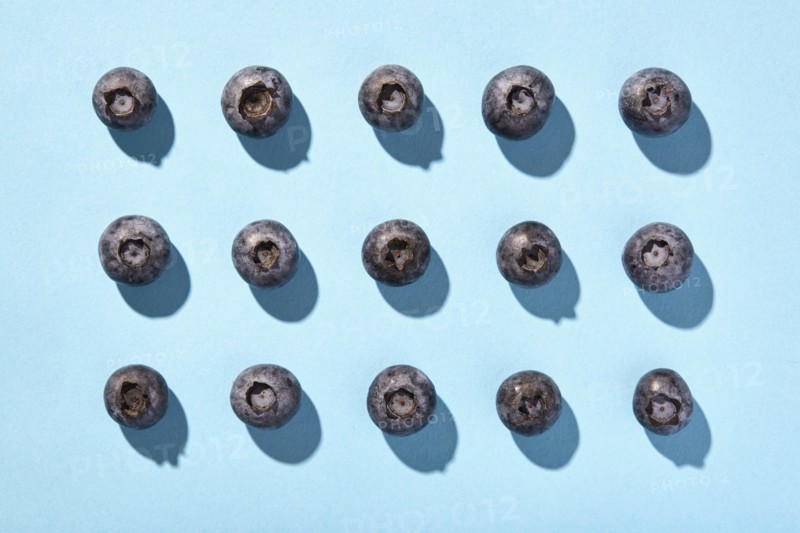 Blueberries in rows on blue background