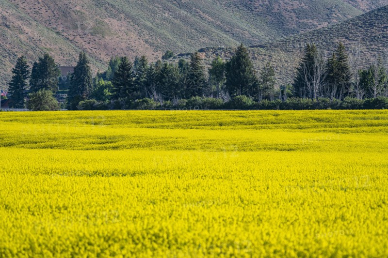 USA, Idaho, Sun Valley
