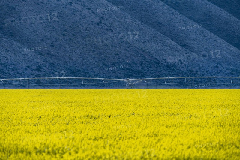 USA, Idaho, Sun Valley