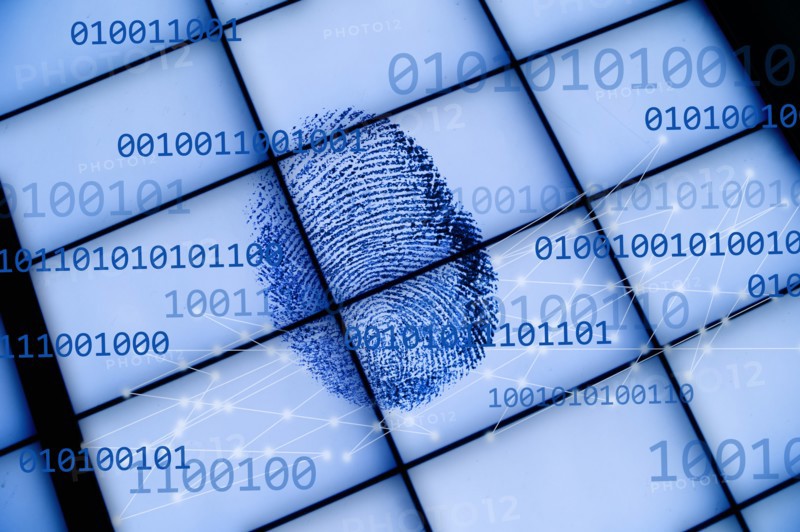 Fingerprint on grid with binary code