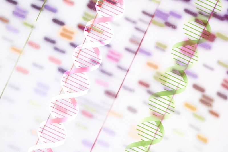 DNA helix and multi-colored sequence chart
