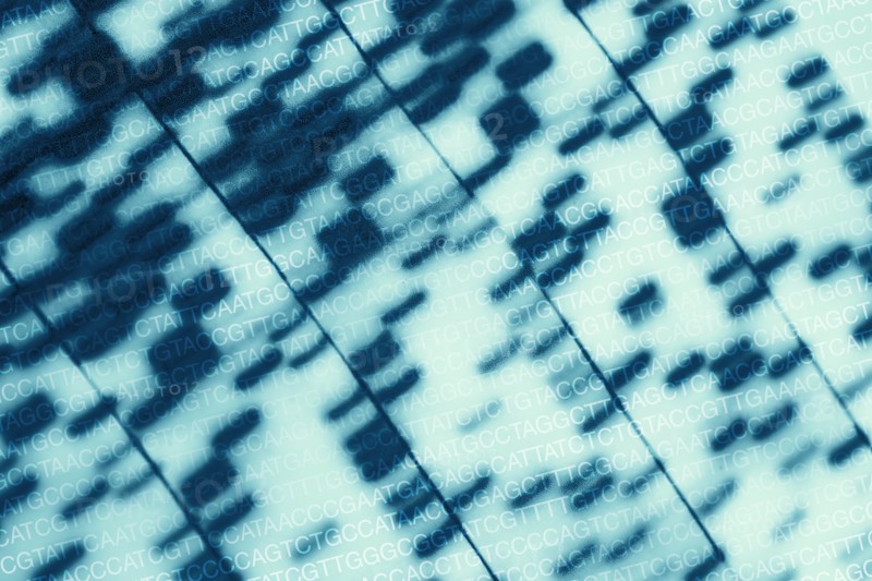 DNA chart and AGCT sequence letters