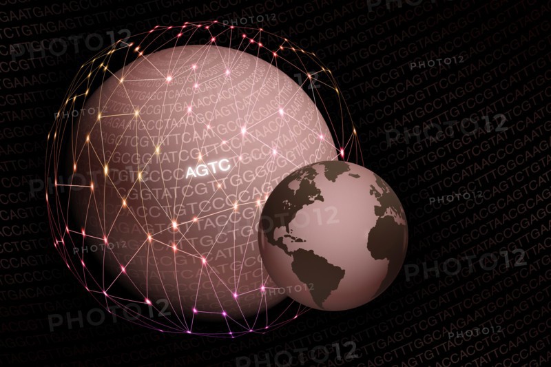Globes with DNA sequence letters