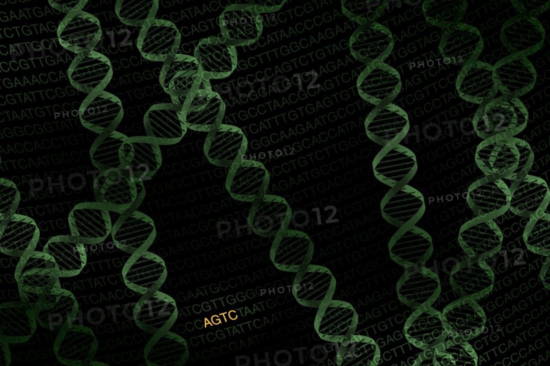 DNA helix on black background