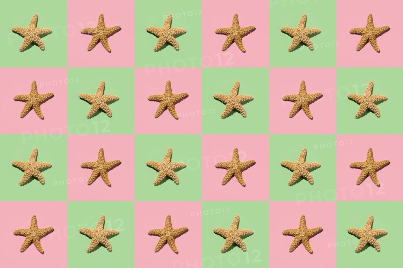 Graphic pattern of starfish on yellow and pink background