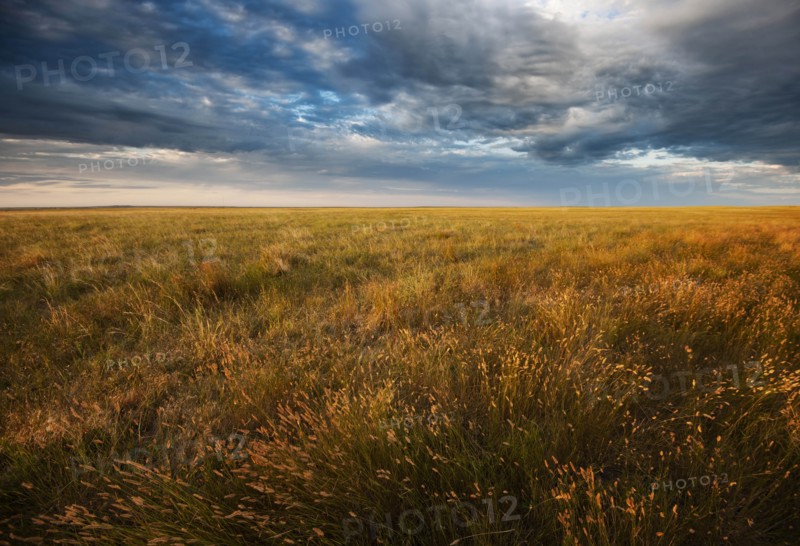 USA, South Dakota, Prairie grass field at sunset