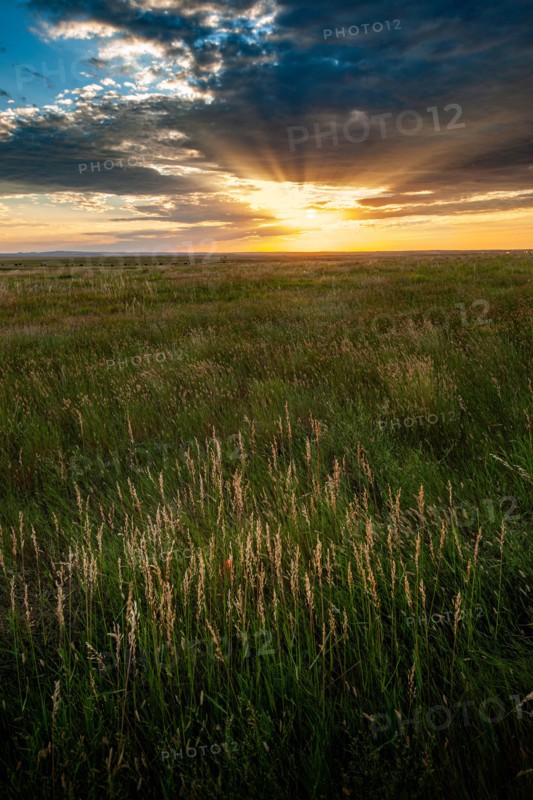 USA, South Dakota, Prairie grass field at sunset