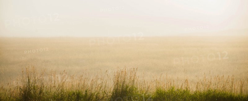USA, South Dakota, Morning fog on prairie