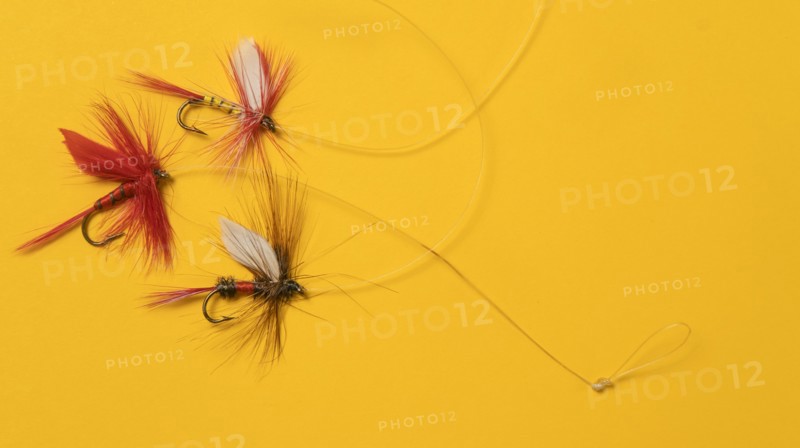Antique fishing lures arranged on orange background