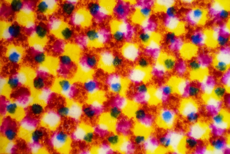 Microscopic view of CMYK printer dots