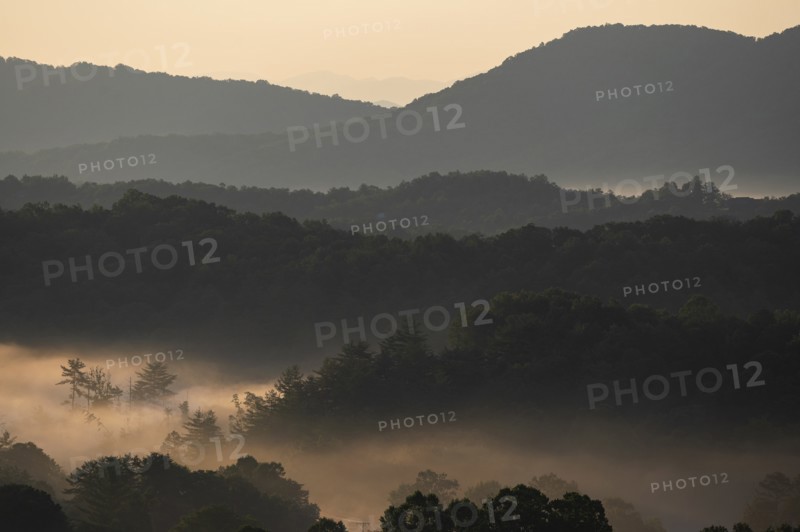 USA, Georgia, Fog above forest and Blue Ridge Mountains at sunrise