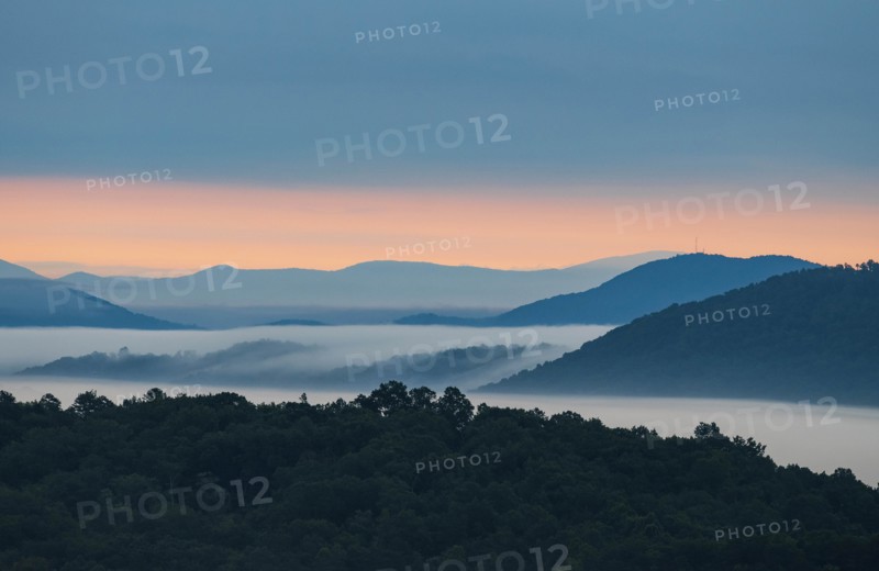 USA, Georgia, Fog above forest and Blue Ridge Mountains at sunrise