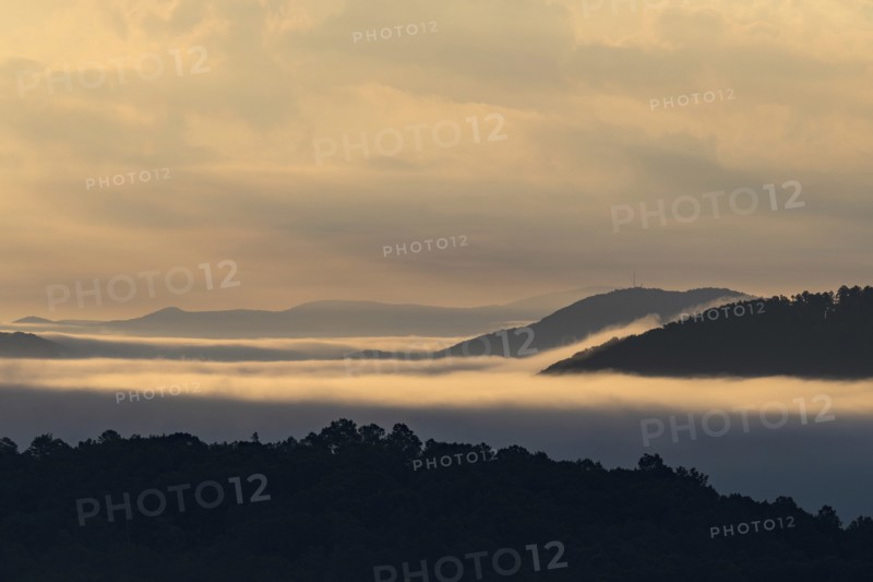 USA, Georgia, Fog and clouds above forest and Blue Ridge Mountains at sunrise