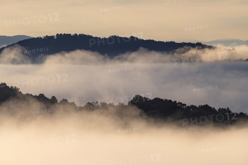 USA, Georgia, Fog and clouds above forest and Blue Ridge Mountains at sunrise