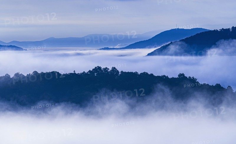 USA, Georgia, Fog and clouds above forest and Blue Ridge Mountains at sunrise