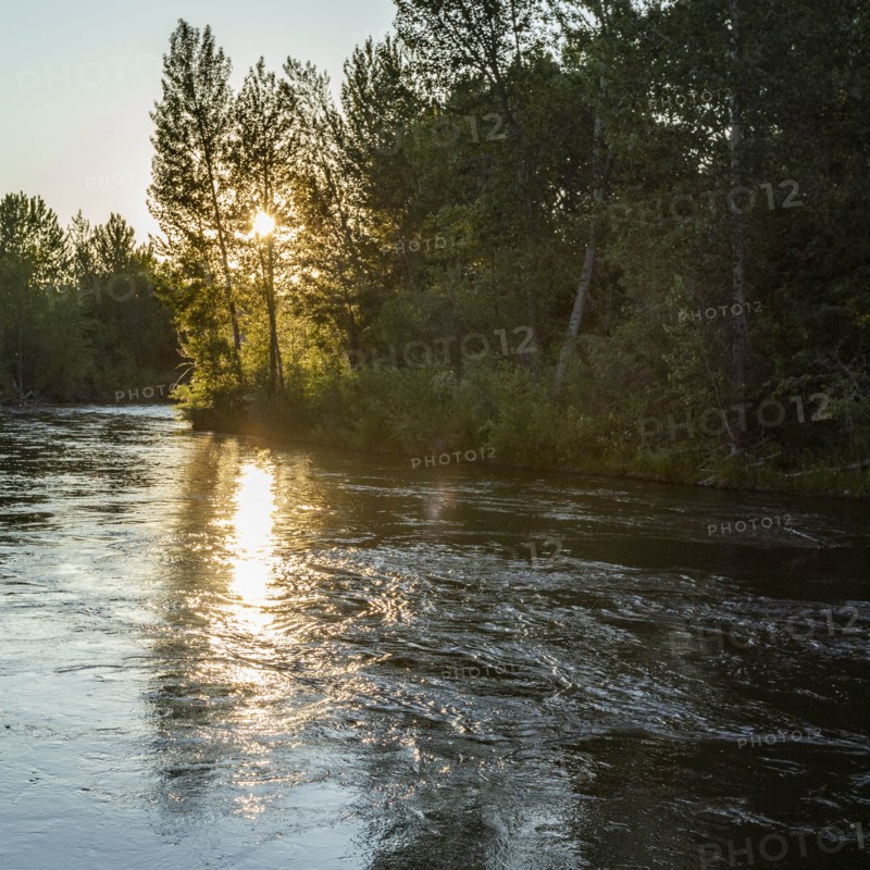 USA, Idaho, Boise, Sunset over forest and river