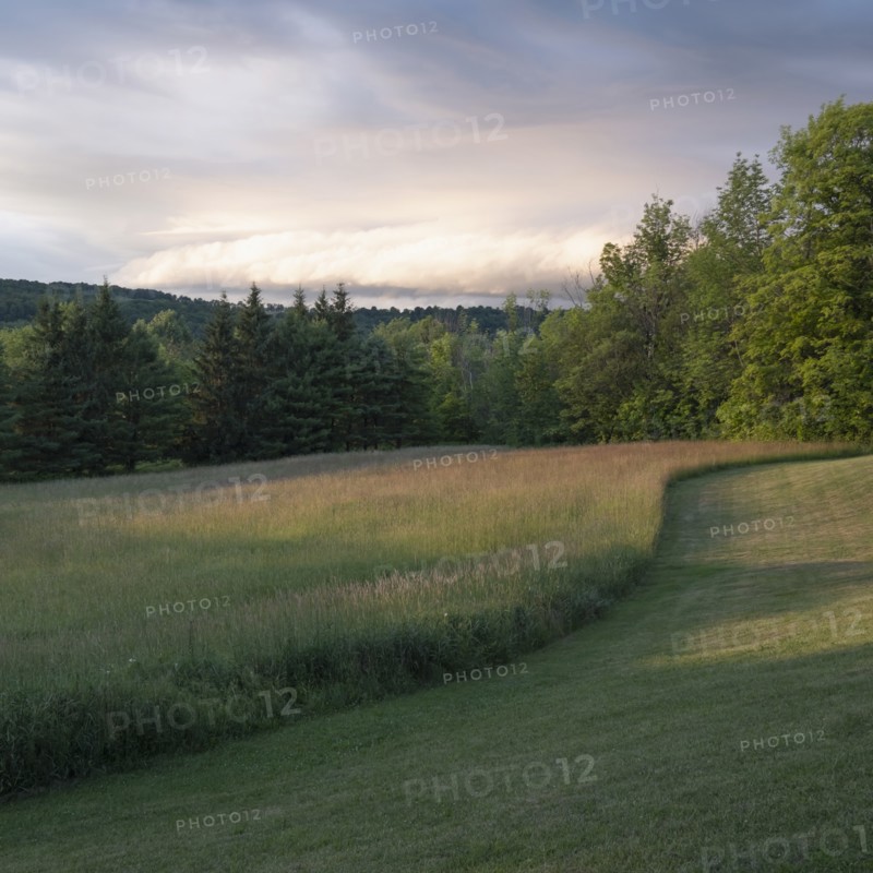 USA, New York, Cooperstown, Sunset over meadow and forest