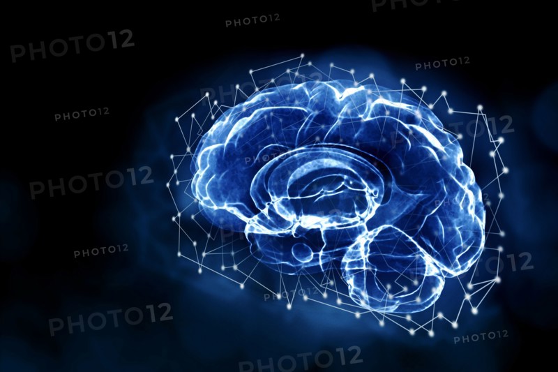 Abstract illustration of human brain