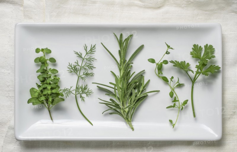 Herbs on white plate